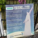 Foto 4 Cristo Rey